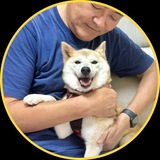 Telegram profile photo for $Neiro Coin