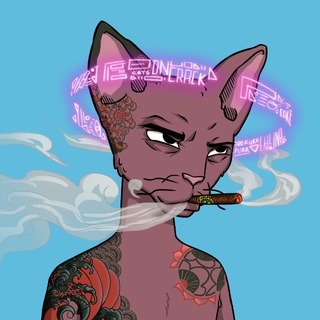 Telegram profile photo for Bandit LFG