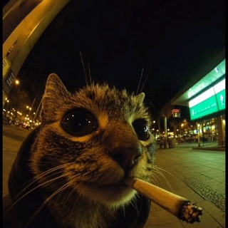 Telegram profile photo for Hunter Media