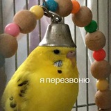 Telegram profile photo for Эклер и Птич (ну почти)