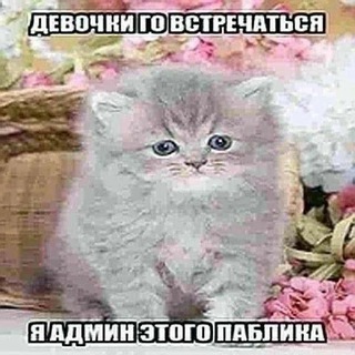 Telegram profile photo for Бишин щп