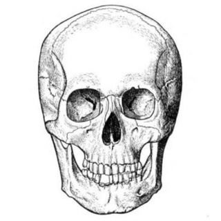 Telegram profile photo for Балтидо-Нордическое Братство