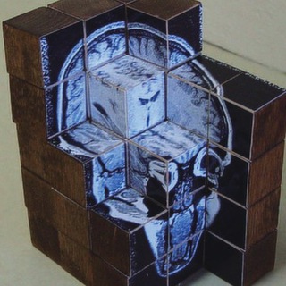 Telegram group profile photo for Science, Language, and Brain