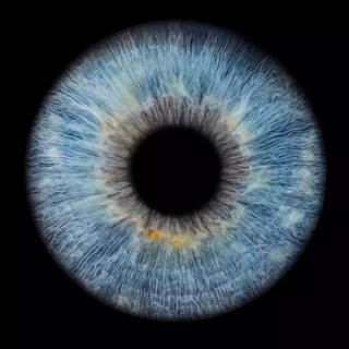 Telegram profile photo for MÉMOIRES.FR