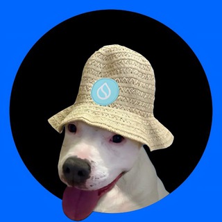 Telegram group profile photo for Ronda On Sui