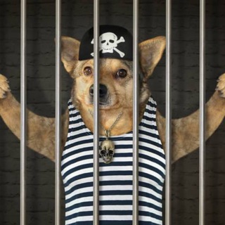 Telegram profile photo for DOGINJAIL COIN