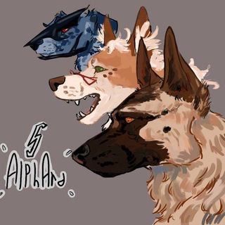 Telegram profile photo for AlphArd_S