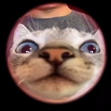 Telegram profile photo for Винигрет