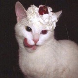 Telegram profile photo for репа