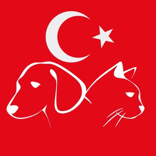 Telegram group profile photo for Турция с питомцем (собака, кошка и проч)