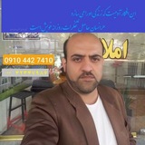 Telegram profile photo for املاک آرش