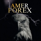 Telegram profile photo for AMER FOREX