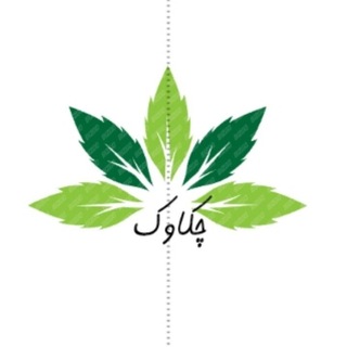 Telegram profile photo for چکاوک🍁
