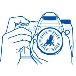 Telegram profile photo for Фотодневник ФК «Таврия»