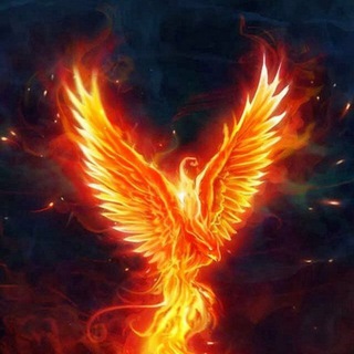 Telegram profile photo for Записки горожанина