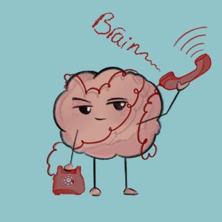 Telegram profile photo for 🎬Better Call Brain!