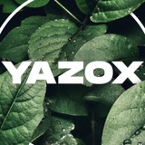 Telegram profile photo for yazox