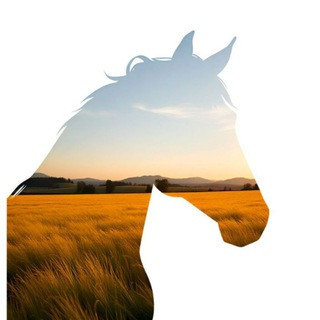Telegram profile photo for بویِ پیرُهَن