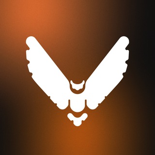 Telegram profile photo for AviMonitor