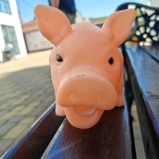 Telegram profile photo for свин