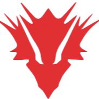 Telegram profile photo for DragonStore.it