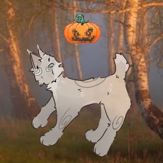 Telegram profile photo for ˚ .Ⲋⲣɾʝⲛⳋ ɦerᥱ .! ࣪ ☼︎