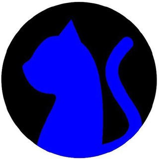 Telegram profile photo for Blog Noite Digital