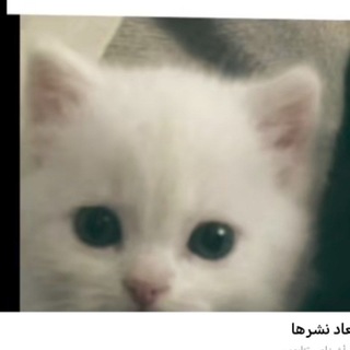 Telegram profile photo for لـ عَلٓيُ .