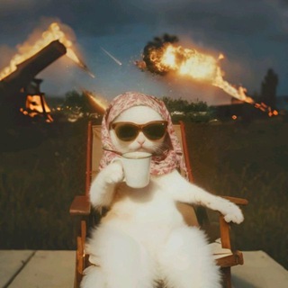 Telegram profile photo for مهرگانی