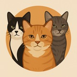 Telegram profile photo for Кошачья Братва