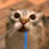 Telegram profile photo for кочiрга вещает🫐