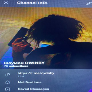 Telegram profile photo for шоумен QWINBY