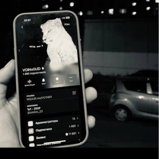 Telegram profile photo for 𝐕𝐎𝐈𝐍 𝐏𝐔𝐁𝐆𝐌