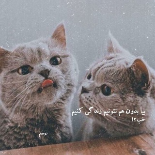 Telegram profile photo for تبلیغات ژوان