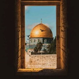 Telegram profile photo for الدين النّصيحة