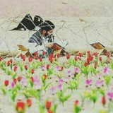 Telegram profile photo for ممـۛـِْۿہدون للظـٰٚـۿہـُور³¹³