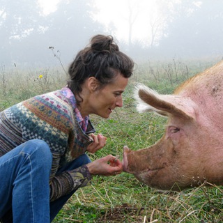 Telegram profile photo for Tracy Worcester: Truth Seeking