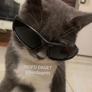 Telegram profile photo for INGFO DAGET