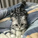 Telegram profile photo for 不頂沒可能
