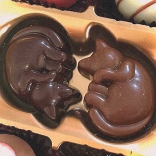 Telegram profile photo for chocolate confession