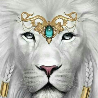 Telegram profile photo for Verdades Crudas