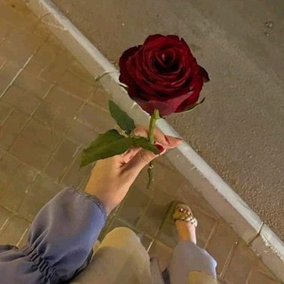 Telegram profile photo for لـغـة الــروح