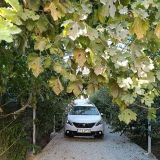 Telegram profile photo for peugeot2008 ir