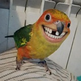 Telegram profile photo for Да иди