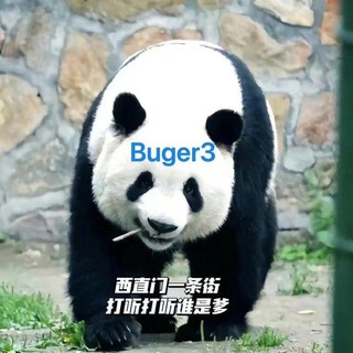 Telegram profile photo for 🍔汉堡群:Sharing Foreigners' Resources