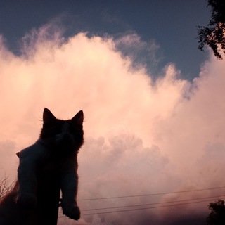 Telegram profile photo for Небо Different skies