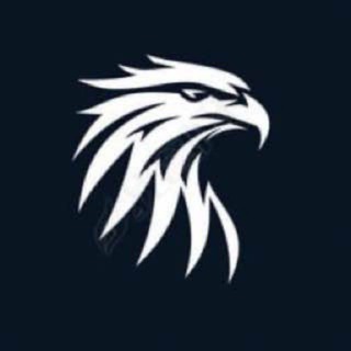 Telegram profile photo for 腾飞集团 -搬U赚钱-白资收U