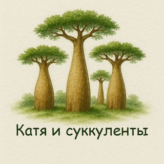 Telegram profile photo for Катя и суккуленты | Katya_succulents