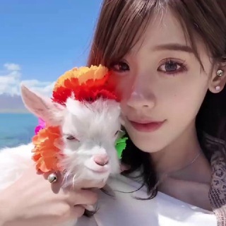 Telegram profile photo for 拉萨个人妖妹