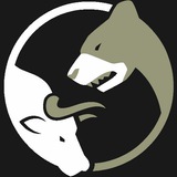 Telegram profile photo for Bull & Bear | Crytocurrency Analysis, News, and Education